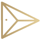 Gold Icon 2
