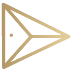 Gold Icon 2